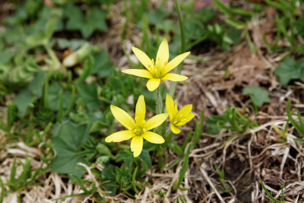 20140601_073